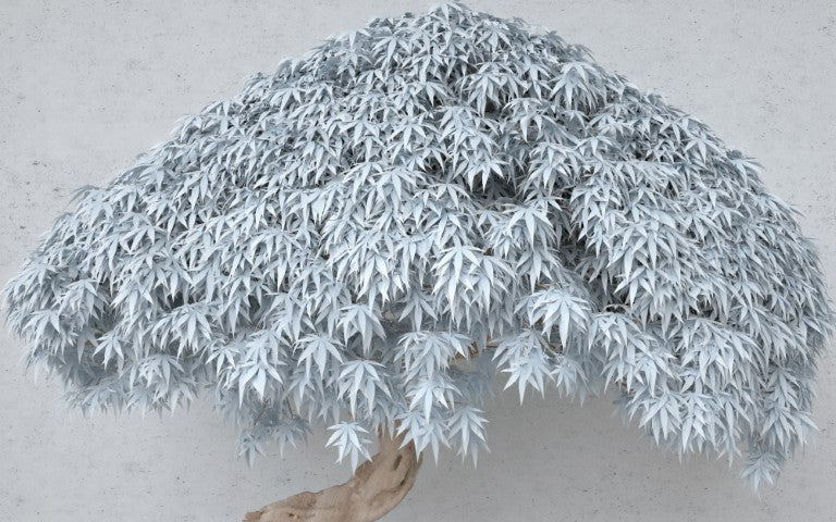 Doğa Desenli | 3D Doğa Posteri | DECOBEE-N010